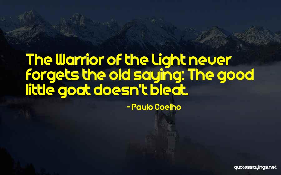 The Light Warrior Quotes By Paulo Coelho The Light Warrior Quotes By Paulo Coelho