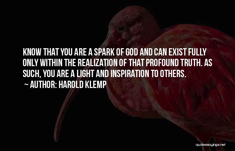The Light Within You Quotes By Harold Klemp