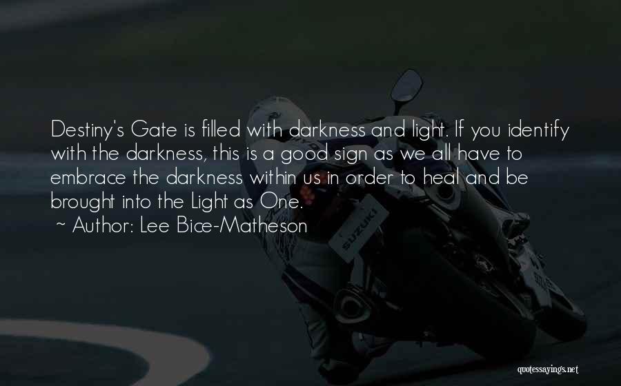 The Light Within You Quotes By Lee Bice-Matheson