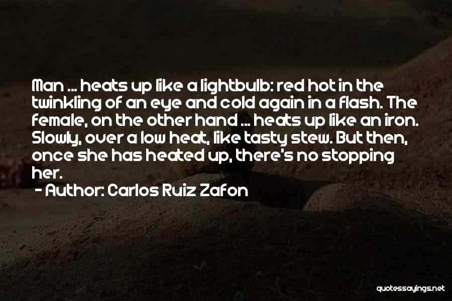 The Lightbulb Quotes By Carlos Ruiz Zafon