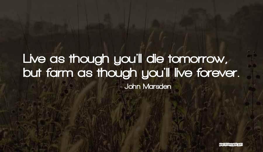 The Lighting Thief Quotes By John Marsden The Lighting Thief Quotes By John Marsden