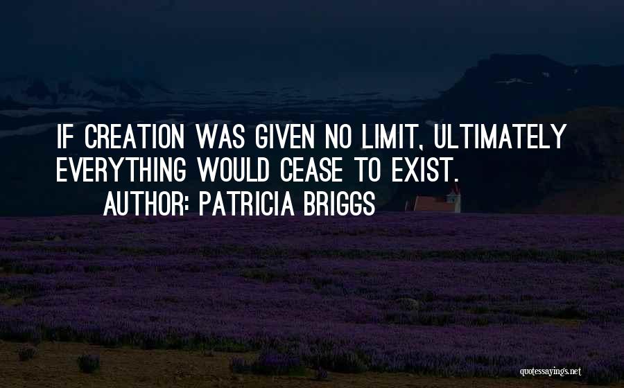 The Limit Does Not Exist Quotes By Patricia Briggs