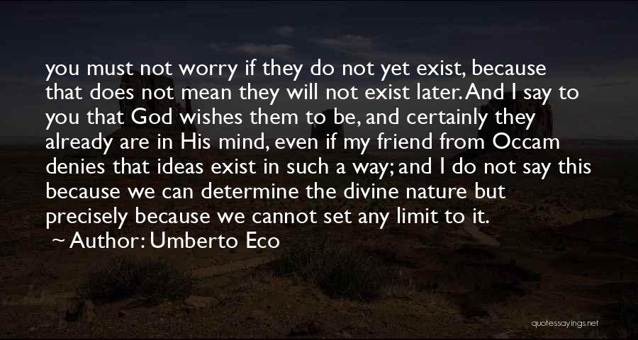 The Limit Does Not Exist Quotes By Umberto Eco