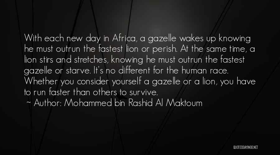 The Lion And Gazelle Quotes By Mohammed Bin Rashid Al Maktoum