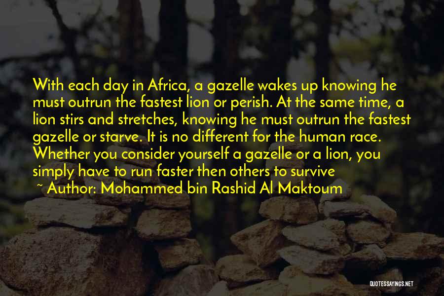 The Lion And Gazelle Quotes By Mohammed Bin Rashid Al Maktoum