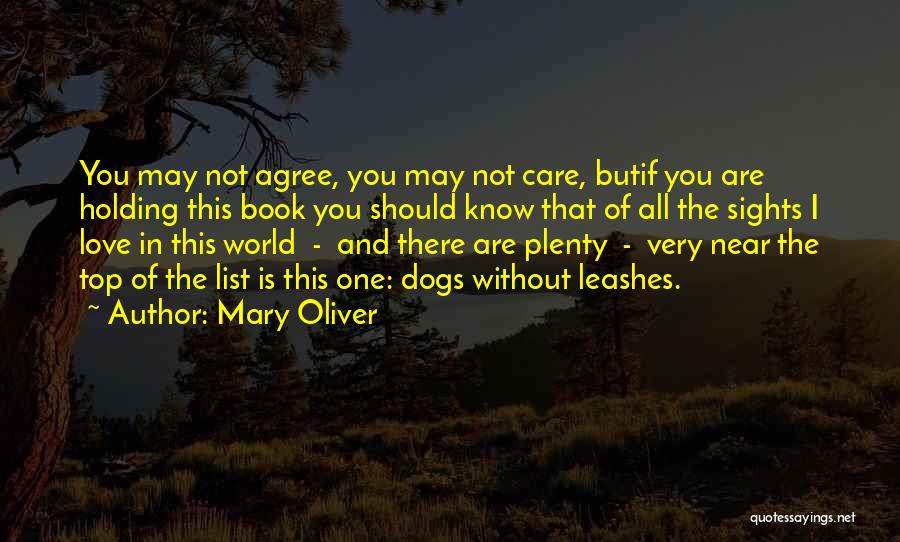 The List Book Quotes By Mary Oliver