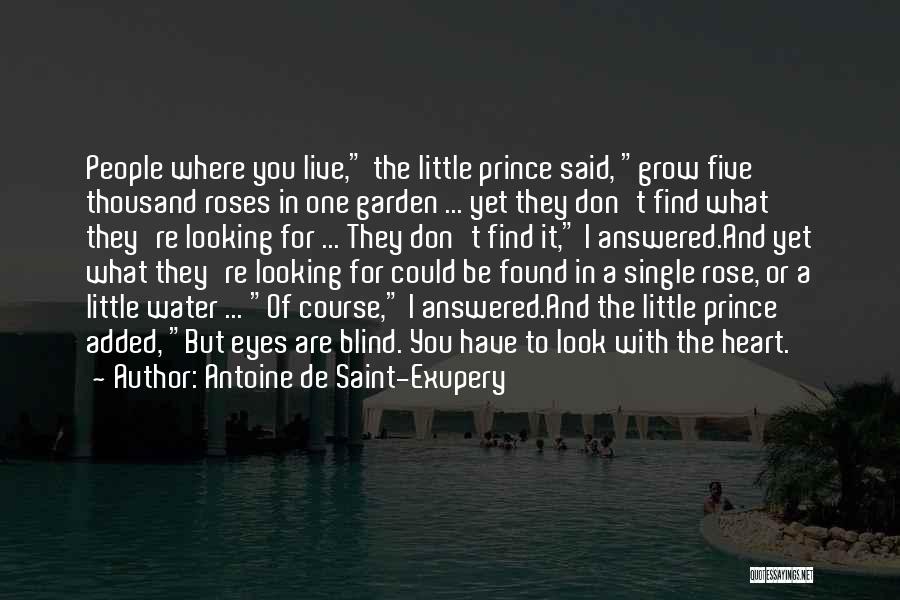 The Little Prince Rose Quotes By Antoine De Saint-Exupery
