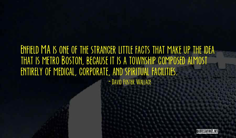 The Little Stranger Quotes By David Foster Wallace The Little Stranger Quotes By David Foster Wallace