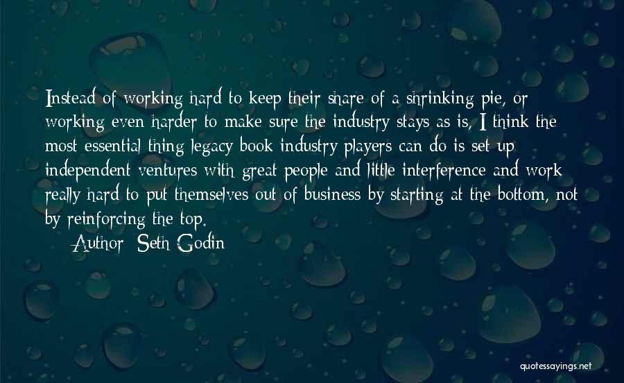 The Little Thing Quotes By Seth Godin