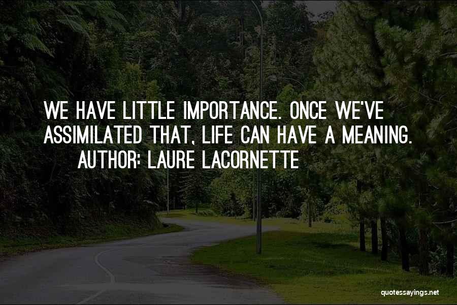 The Little Things In Life Meaning The Most Quotes By Laure Lacornette