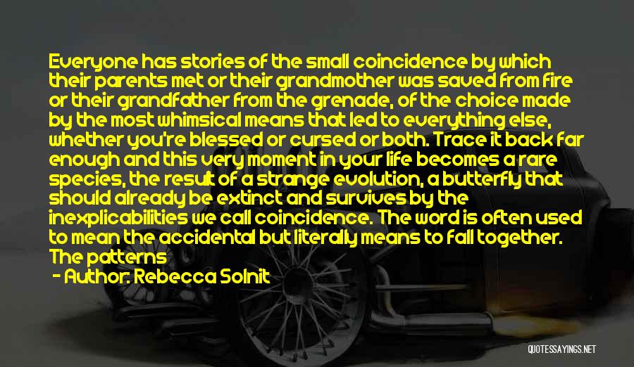 The Little Things That Mean The Most Quotes By Rebecca Solnit