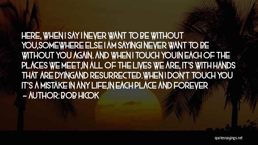 The Lives We Touch Quotes By Bob Hicok