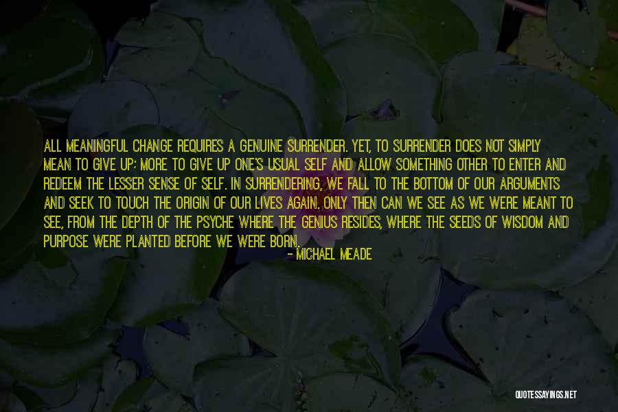 The Lives We Touch Quotes By Michael Meade