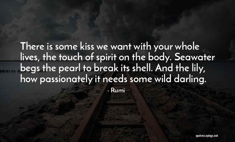 The Lives We Touch Quotes By Rumi