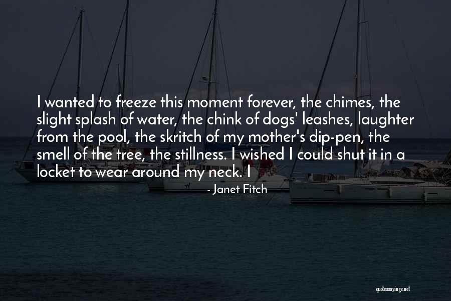 The Locket Quotes By Janet Fitch The Locket Quotes By Janet Fitch