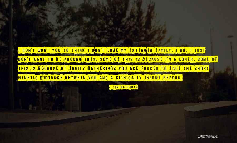 The Loner Quotes By Jim Gaffigan The Loner Quotes By Jim Gaffigan