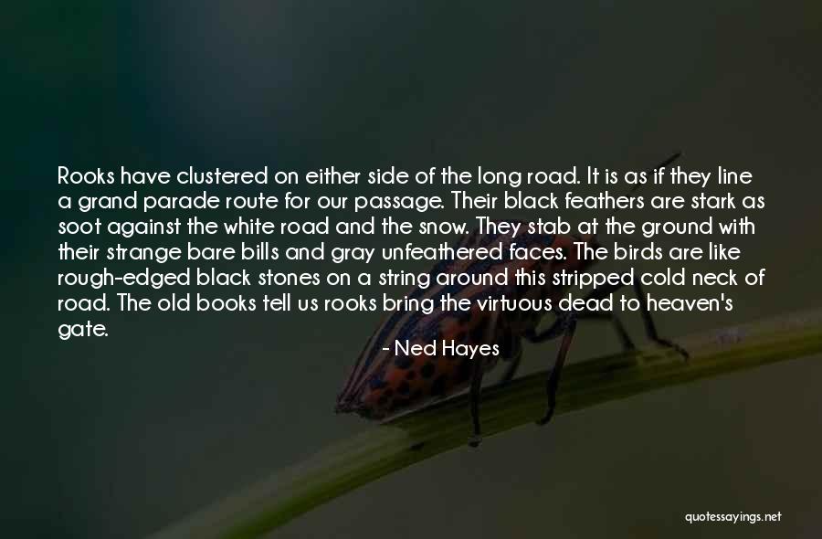 The Long Gray Line Quotes By Ned Hayes