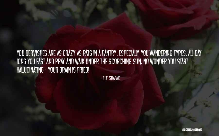 The Long Walk Quotes By Elif Shafak The Long Walk Quotes By Elif Shafak