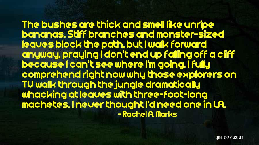The Long Walk Quotes By Rachel A. Marks The Long Walk Quotes By Rachel A. Marks