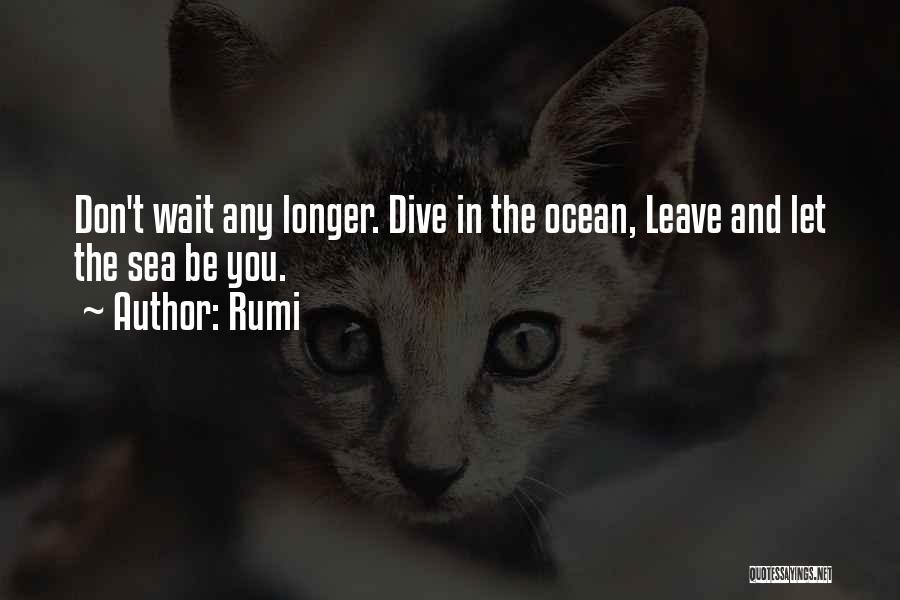 The Longer You Wait For Something Quotes By Rumi