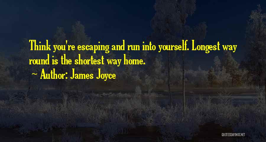 The Longest Way Home Quotes By James Joyce