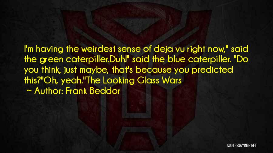 The Looking Glass Wars Quotes By Frank Beddor