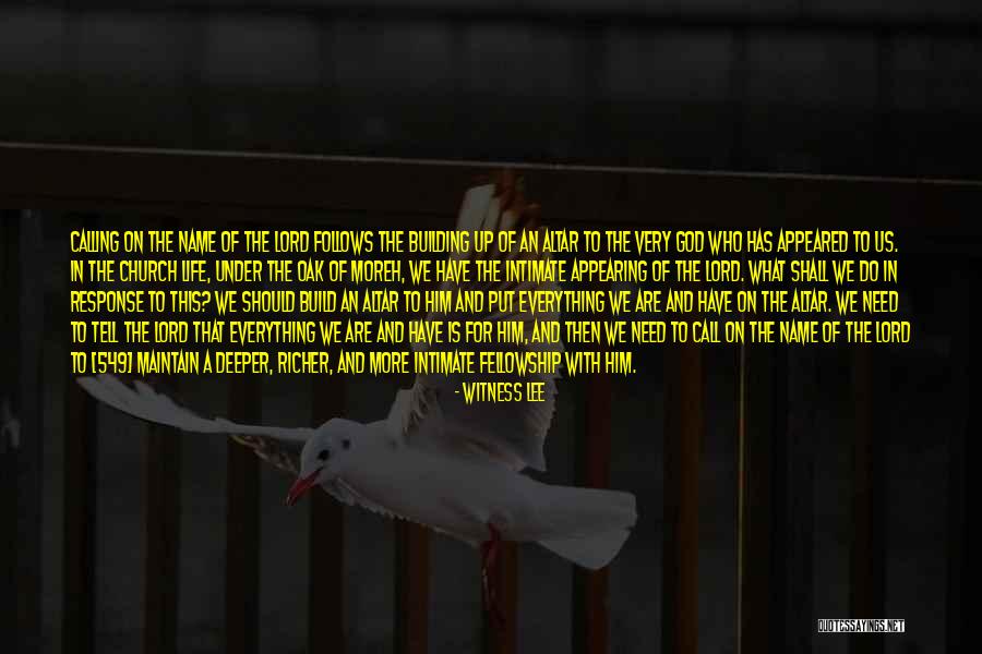 The Lord Is My Witness Quotes By Witness Lee