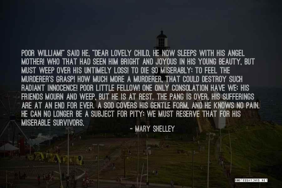 The Loss Of A Young Child Quotes By Mary Shelley The Loss Of A Young Child Quotes By Mary Shelley