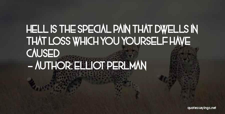 The Loss Of Someone Special Quotes By Elliot Perlman