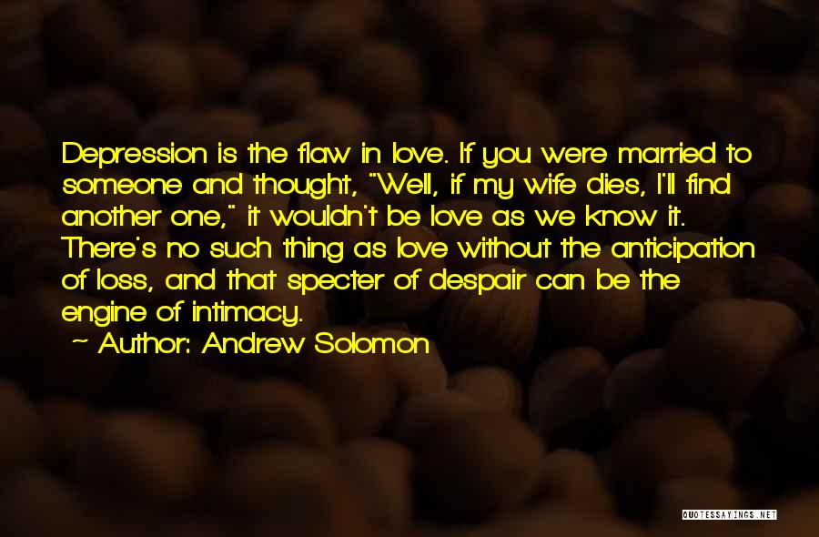 The Loss Of Someone You Love Quotes By Andrew Solomon