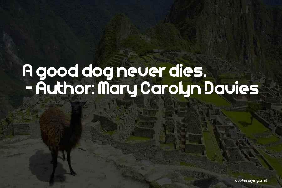 The Loss Of Your Dog Quotes By Mary Carolyn Davies