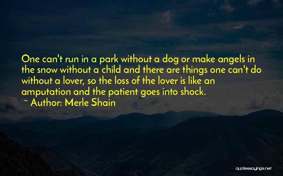 The Loss Of Your Dog Quotes By Merle Shain
