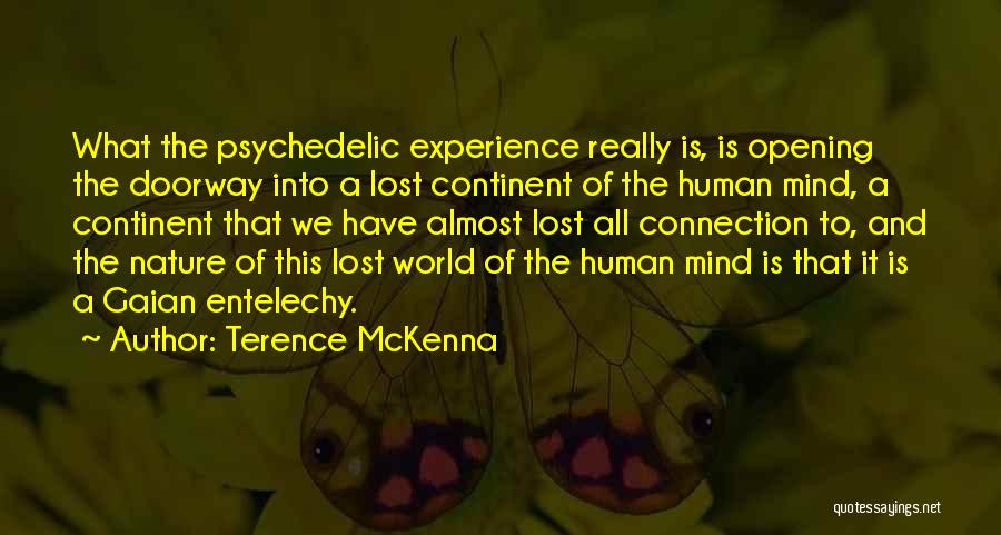 The Lost Continent Quotes By Terence McKenna