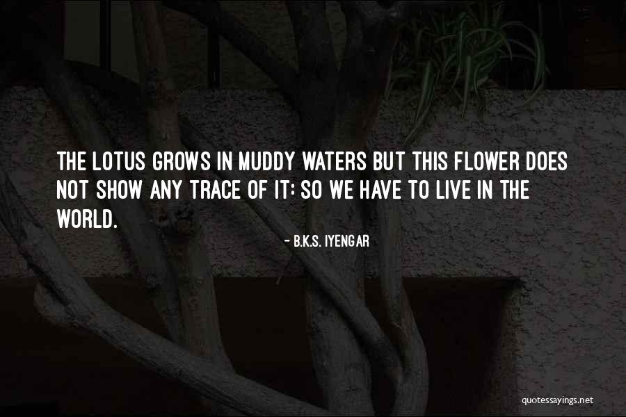 The Lotus Quotes By B.K.S. Iyengar The Lotus Quotes By B.K.S. Iyengar