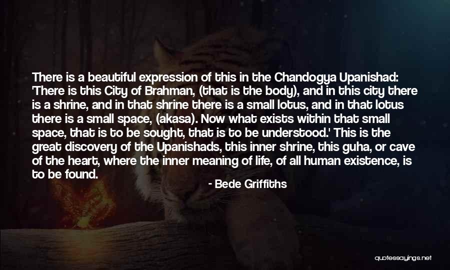 The Lotus Quotes By Bede Griffiths The Lotus Quotes By Bede Griffiths