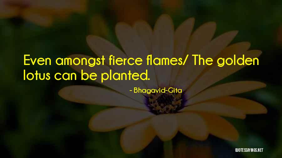 The Lotus Quotes By Bhagavid-Gita The Lotus Quotes By Bhagavid-Gita