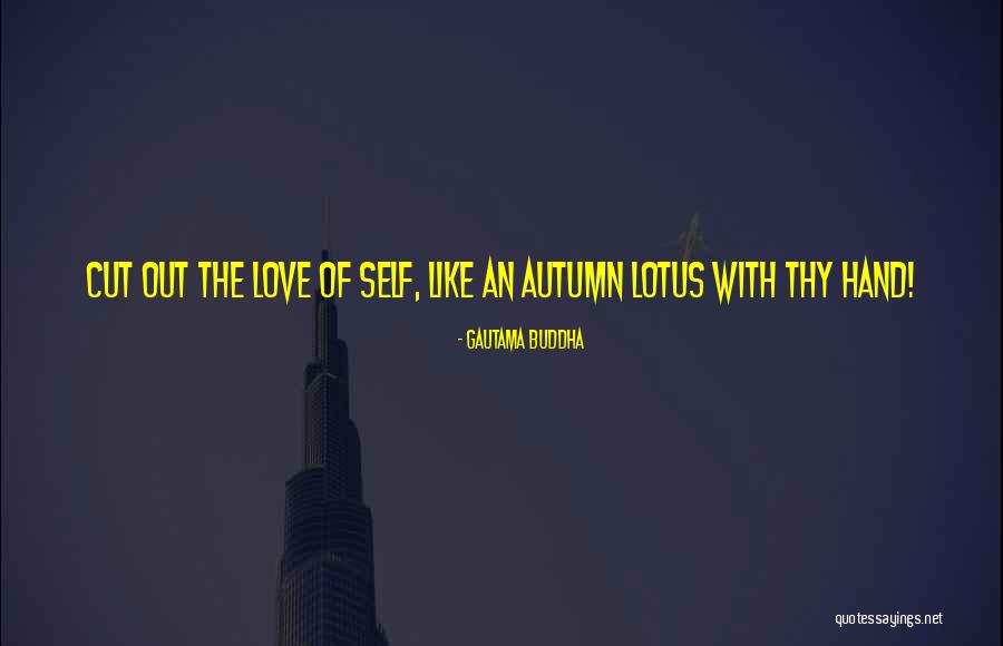The Lotus Quotes By Gautama Buddha The Lotus Quotes By Gautama Buddha