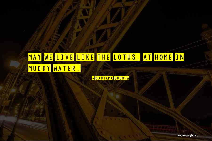 The Lotus Quotes By Gautama Buddha The Lotus Quotes By Gautama Buddha
