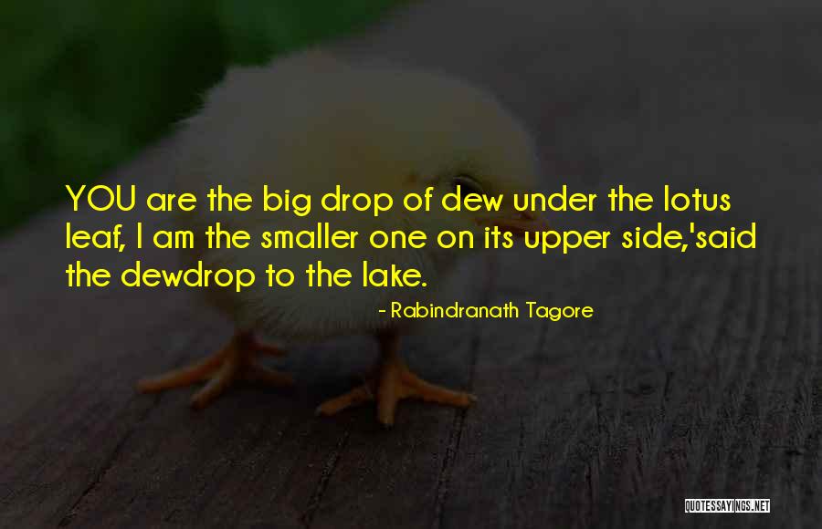The Lotus Quotes By Rabindranath Tagore The Lotus Quotes By Rabindranath Tagore
