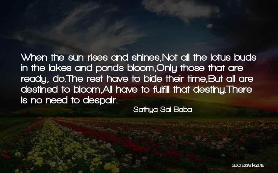 The Lotus Quotes By Sathya Sai Baba The Lotus Quotes By Sathya Sai Baba