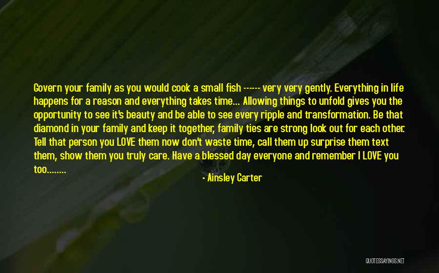 The Love For Your Family Quotes By Ainsley Carter