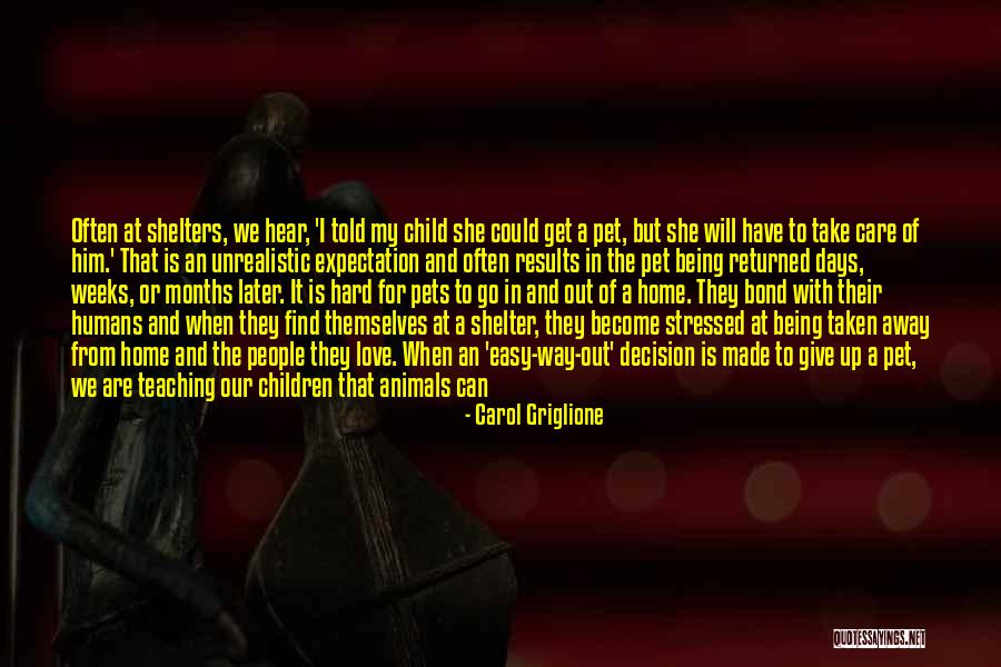 The Love I Have For My Child Quotes By Carol Griglione The Love I Have For My Child Quotes By Carol Griglione
