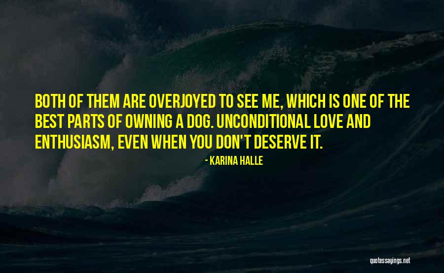 The Love You Deserve Quotes By Karina Halle