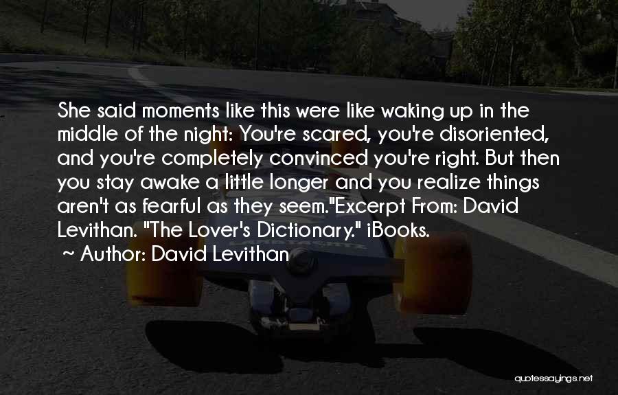 The Lover's Dictionary Quotes By David Levithan