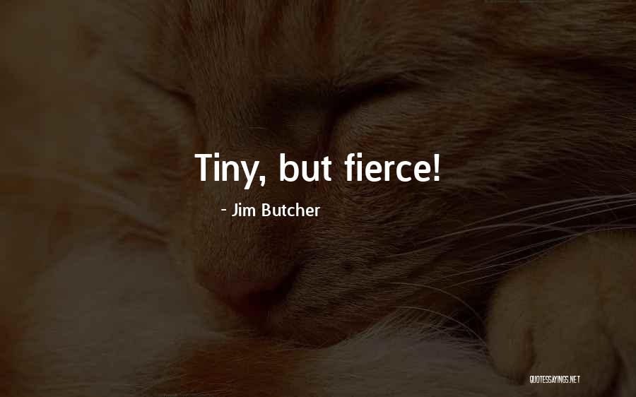 The Macquire Women Quotes By Jim Butcher The Macquire Women Quotes By Jim Butcher