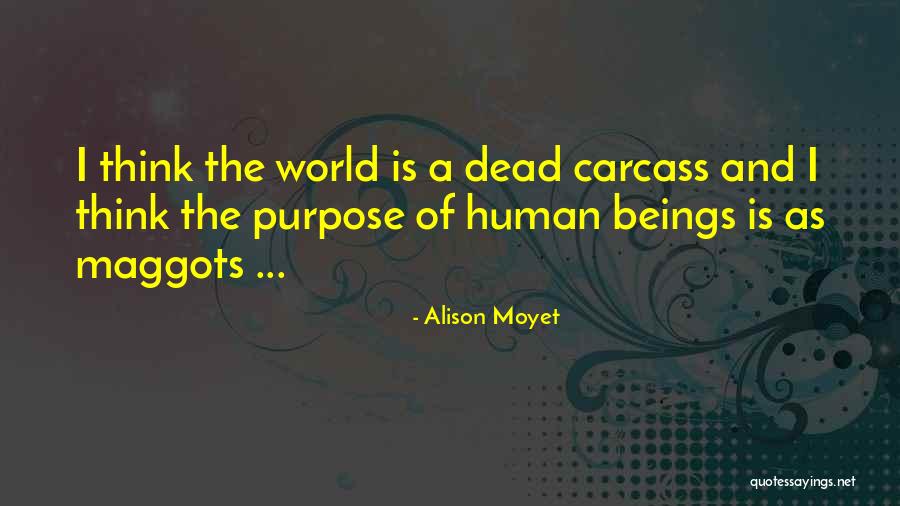 The Maggots Quotes By Alison Moyet The Maggots Quotes By Alison Moyet