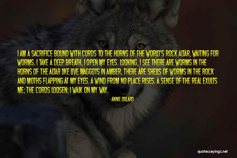 The Maggots Quotes By Annie Dillard The Maggots Quotes By Annie Dillard