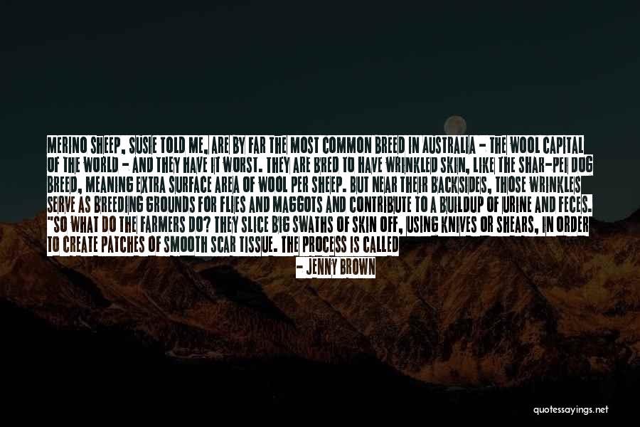 The Maggots Quotes By Jenny Brown The Maggots Quotes By Jenny Brown