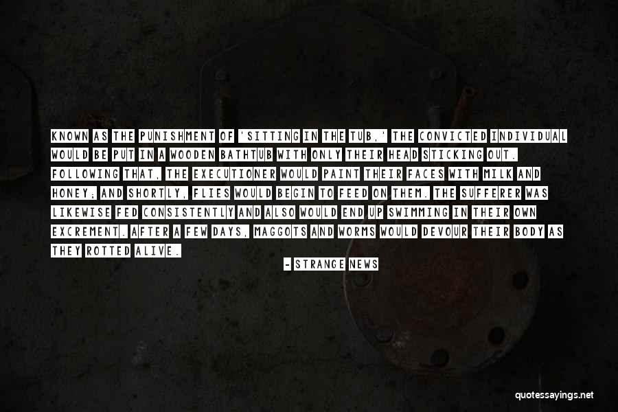 The Maggots Quotes By Strange News The Maggots Quotes By Strange News