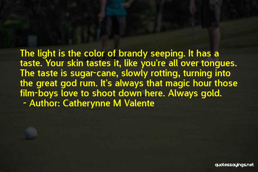 The Magic Hour Quotes By Catherynne M Valente
